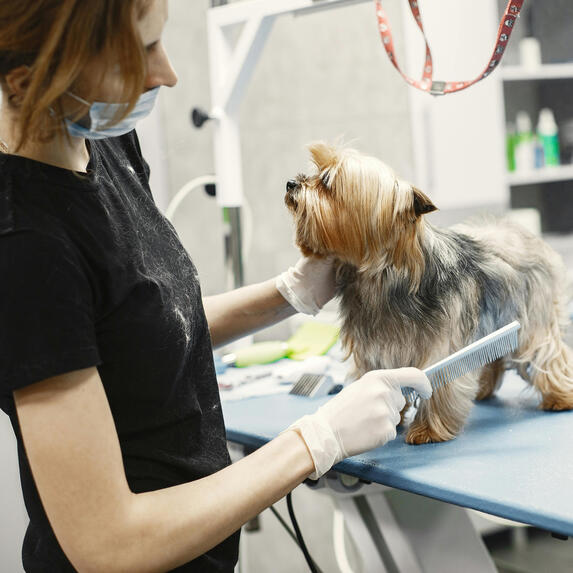 Samantha - Assistant Manager
