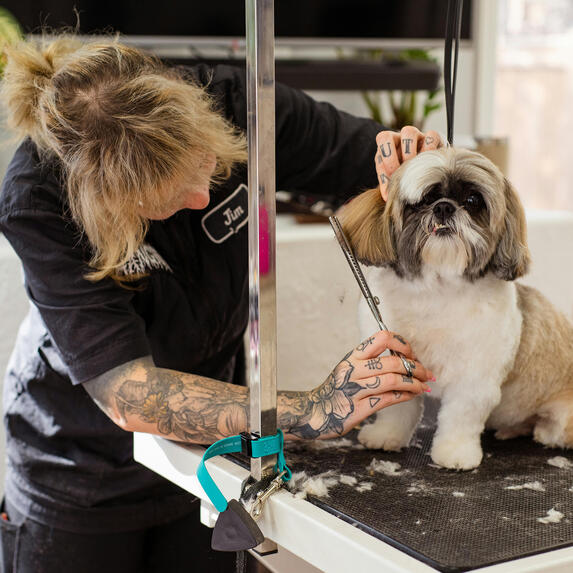 Carlie - Owner &amp; Pet Stylist