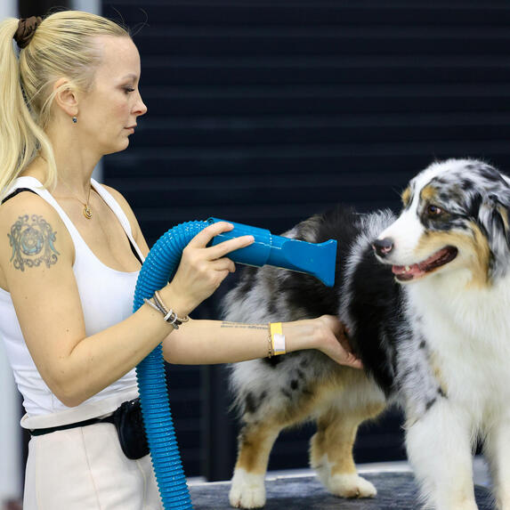 Olivia - Pet Stylist